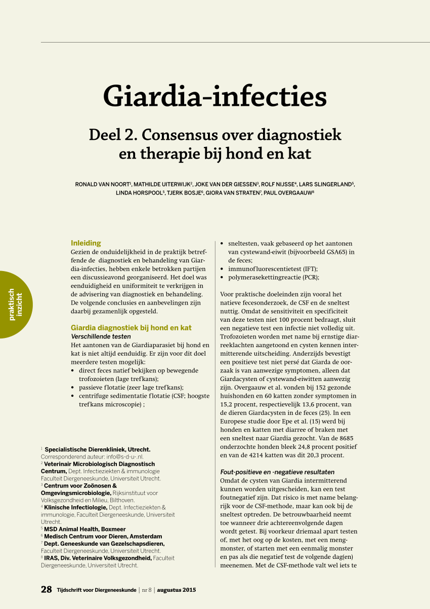giardia kat therapie
