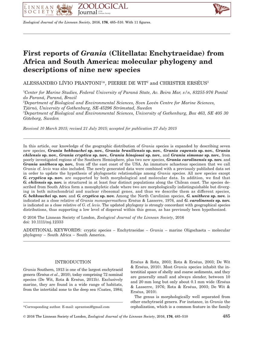 tyran Inspiration fire PDF) First reports of Grania (Clitellata: Enchytraeidae) from Africa and  South America - Molecular phylogeny and descriptions of nine new species