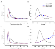 Who Can Share Me The Complete Analyzing Methods For Imagej