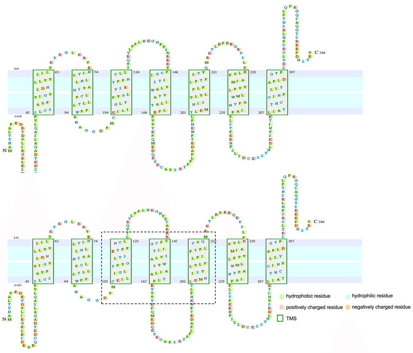 (PDF) Figure S3