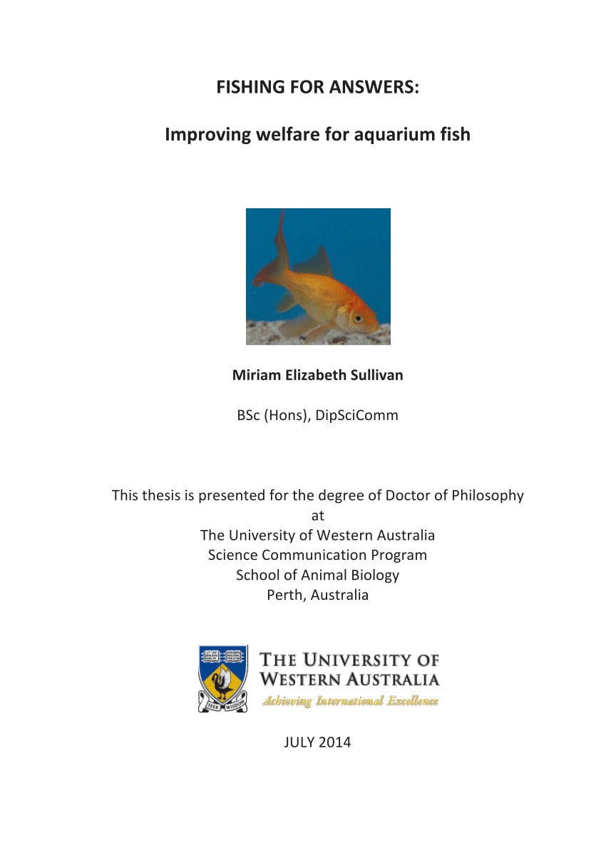 PDF) Fishing for answers: improving welfare for aquarium fish