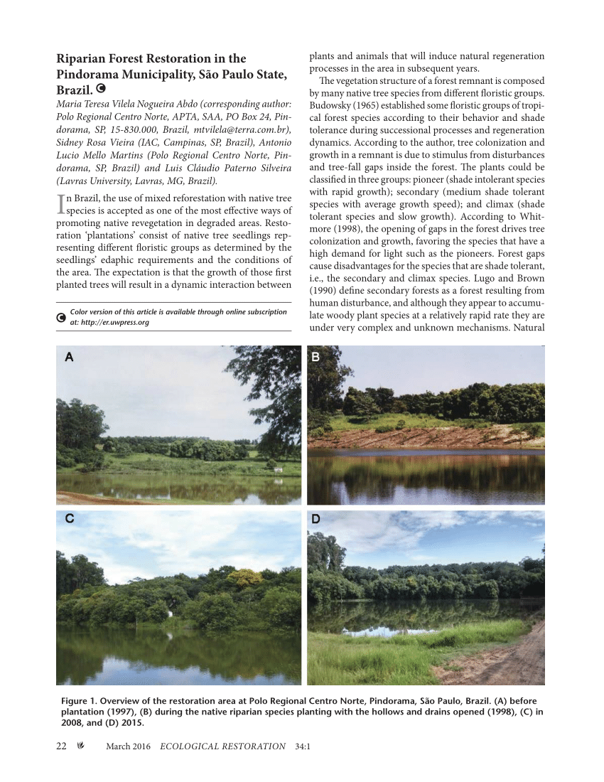 (PDF) Riparian forest restoration -Pindorama- São Paulo state -Brazil