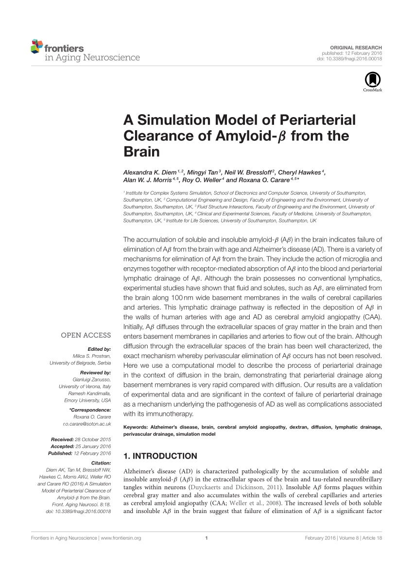 Pdf A Simulation Model Of Periarterial Clearance Of Amyloid B From The Brain