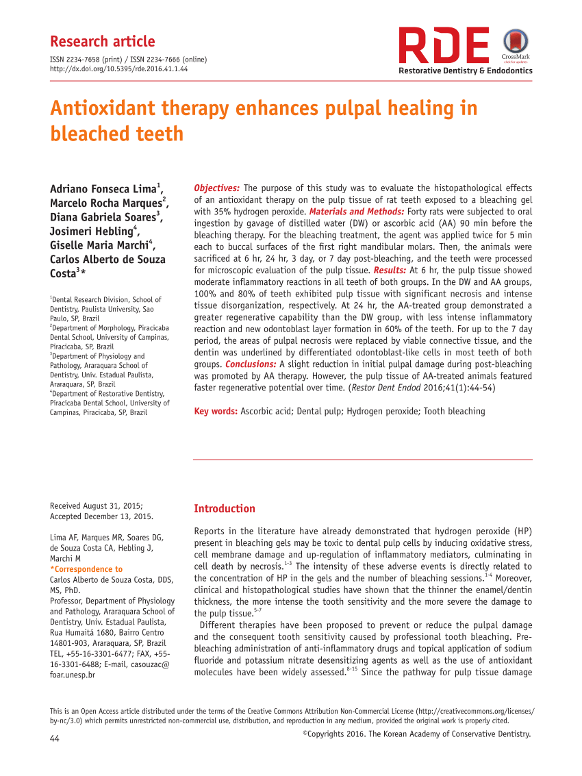 Pdf Antioxidant Therapy Enhances Pulpal Healing In Bleached Teeth