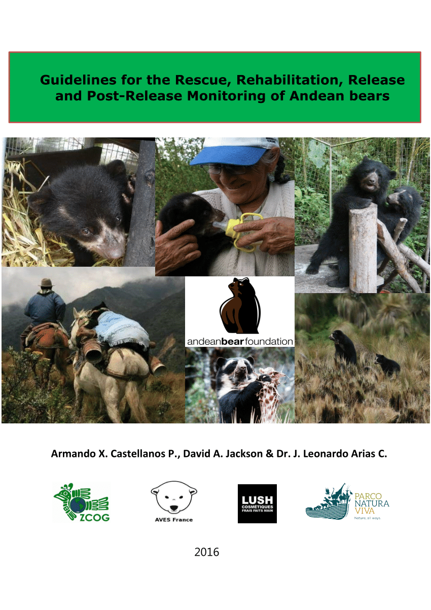 PDF) Guidelines for the Rescue, Rehabilitation, Release and Post-Release  Monitoring of Andean bears.