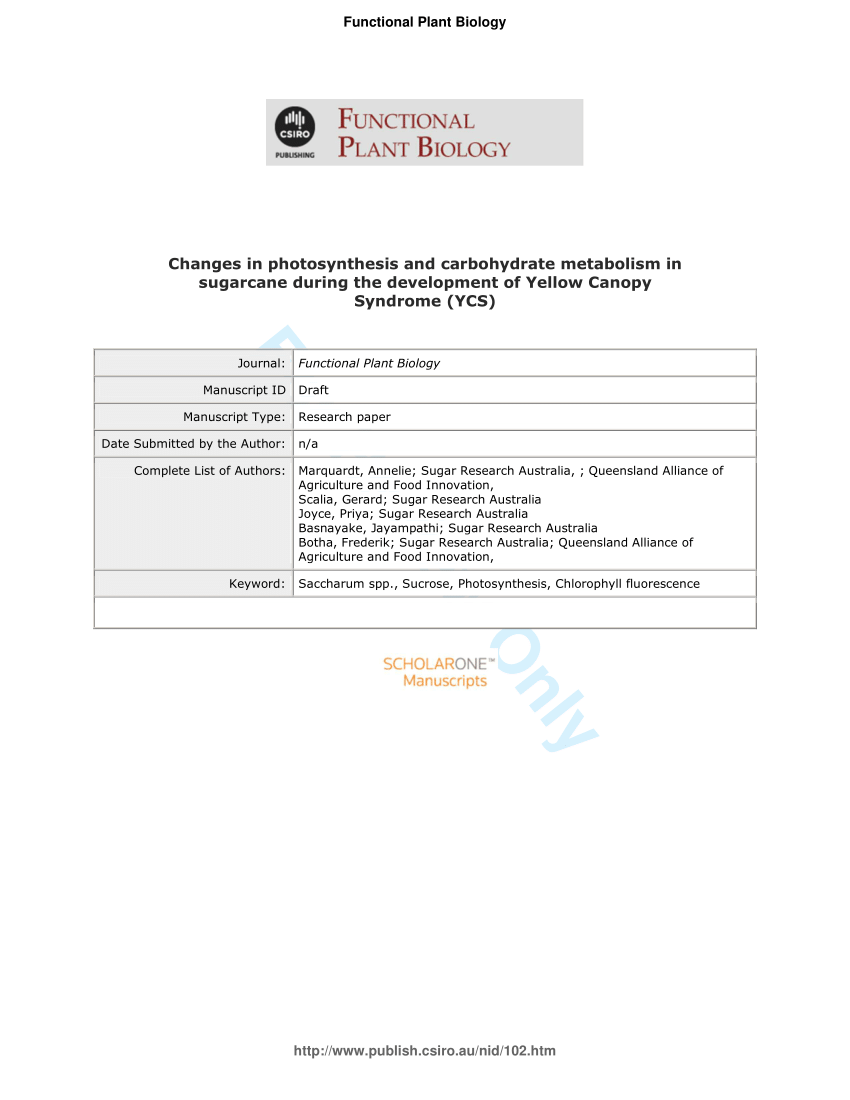 Pdf Changes In Photosynthesis And Carbohydrate Metabolism In Sugarcane During The Development Of Yellow Canopy Syndrome Ycs