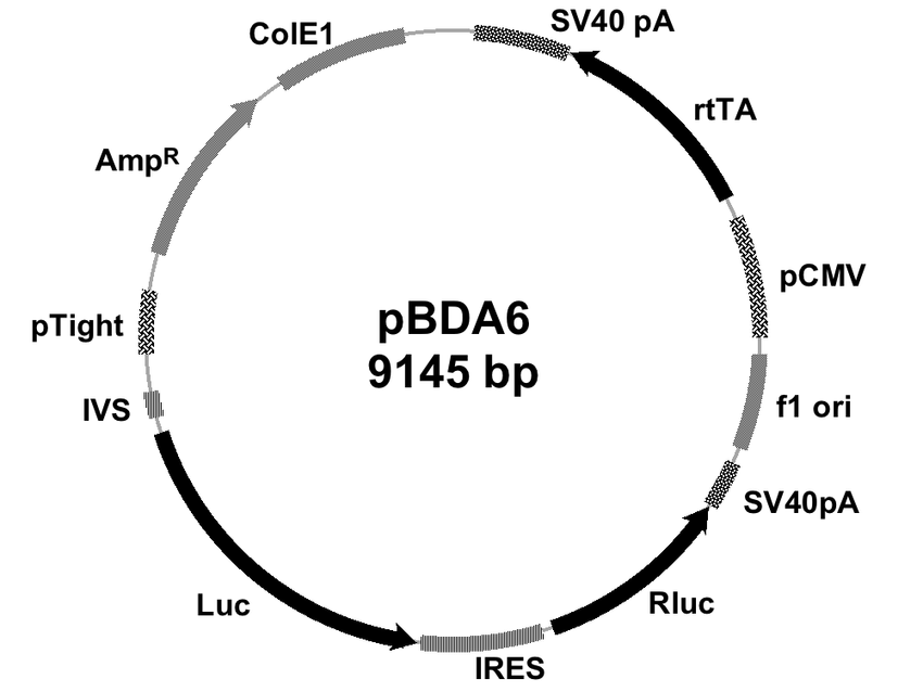 Pdf Figure S1