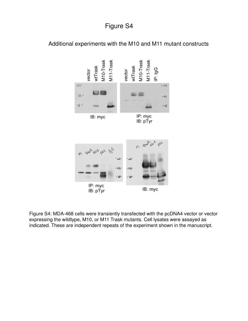 PDF Figure S4