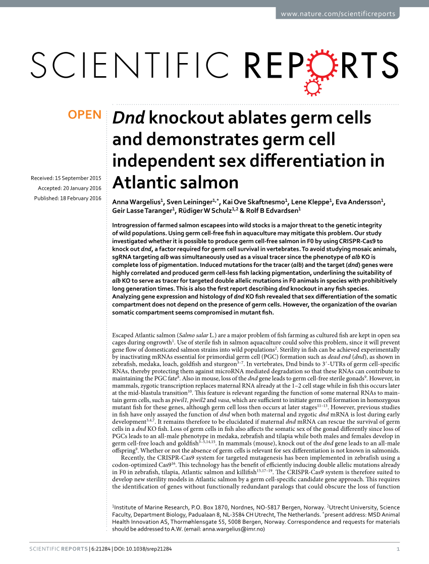 Pdf Dnd Knockout Ablates Germ Cells And Demonstrates Germ Cell Independent Sex Differentiation 0454