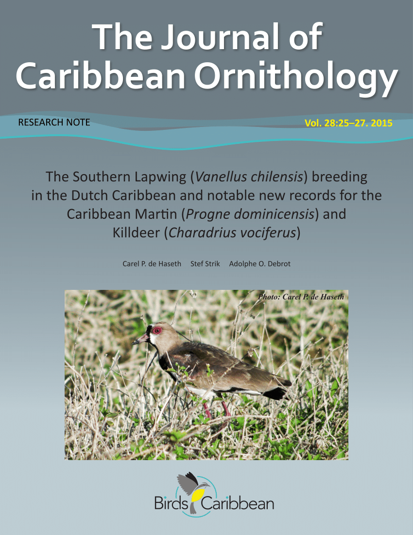 PDF Checklist Of The Birds Of Aruba Curaao And Bonaire South