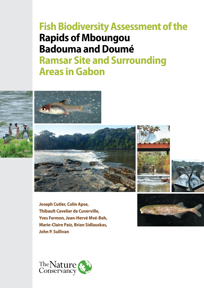 PDF) Fish Biodiversity Assessment of the Rapids of Mboungou