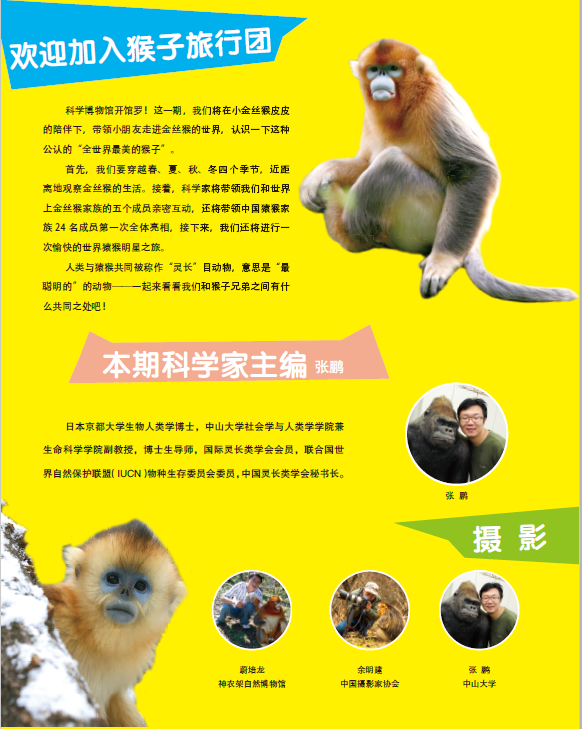 (PDF) The Golden Monkeys