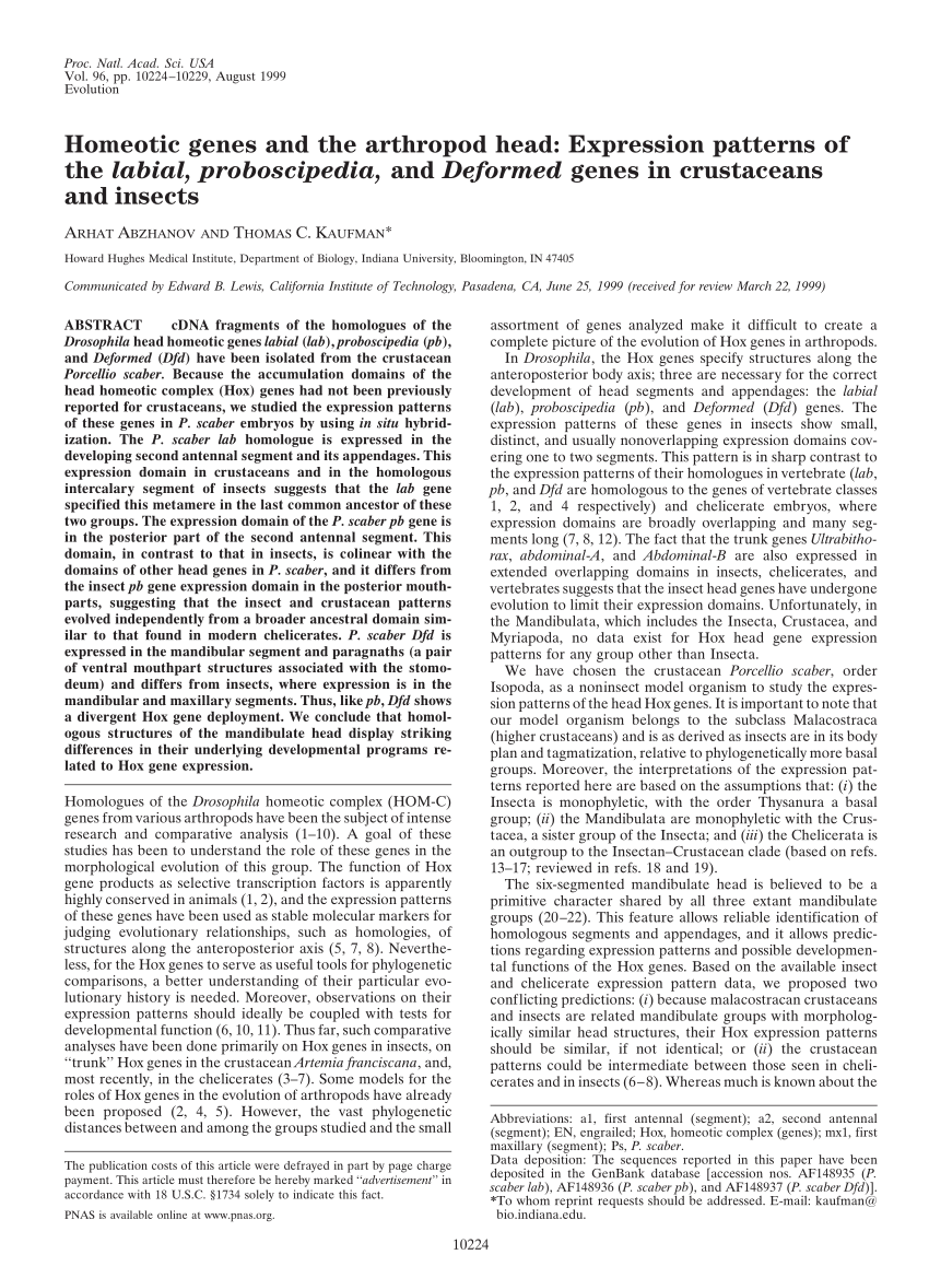 the mandibulate hypothesis supports the statement