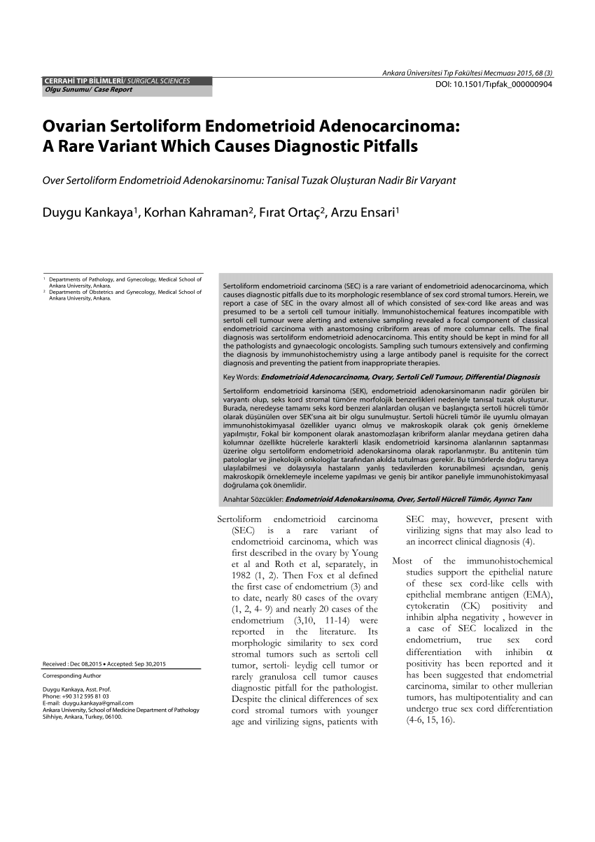 PDF Ovarian Sertoliform Endometrioid Adenocarcinoma A Rare  