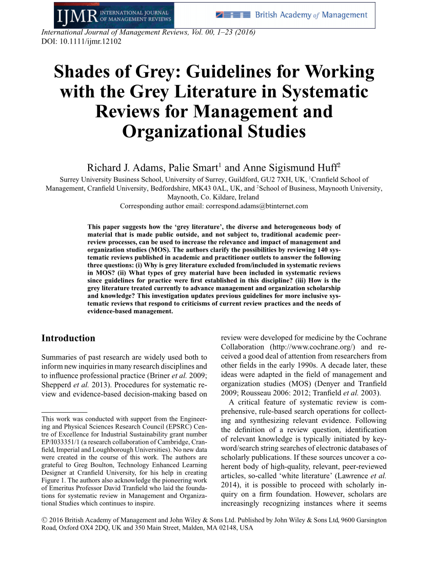 systematic literature review grey literature