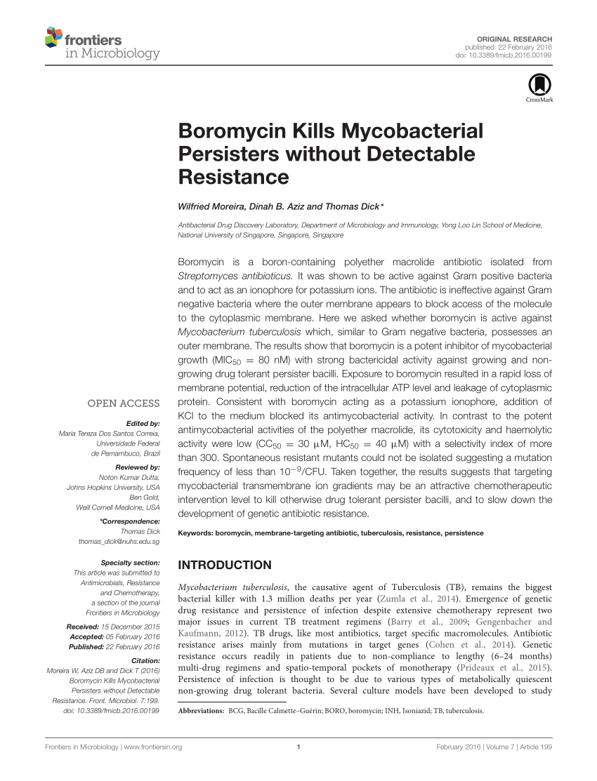 (PDF) Boromycin Kills Mycobacterial Persisters without Detectable ...