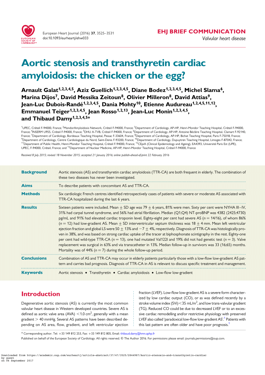 Left ventricle myocardial deformation pattern in severe aortic valve  stenosis without cardiac amyloidosis. The AMY-TAVI trial