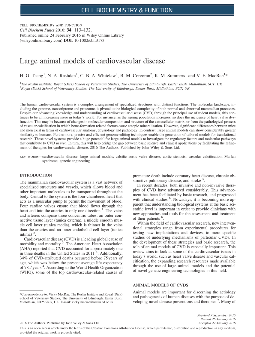 (PDF) Large animal models of cardiovascular disease