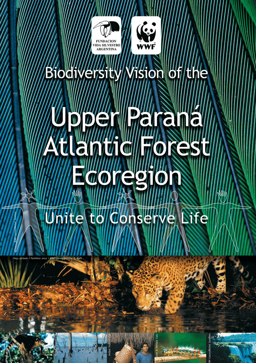 PDF) Intention of preserving forest remnants among landowners in the  Atlantic Forest: The role of the ecological context via ecosystem services