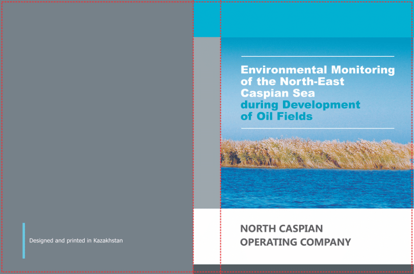 PDF) Environmental Monitoring of the North-East Caspian Sea
