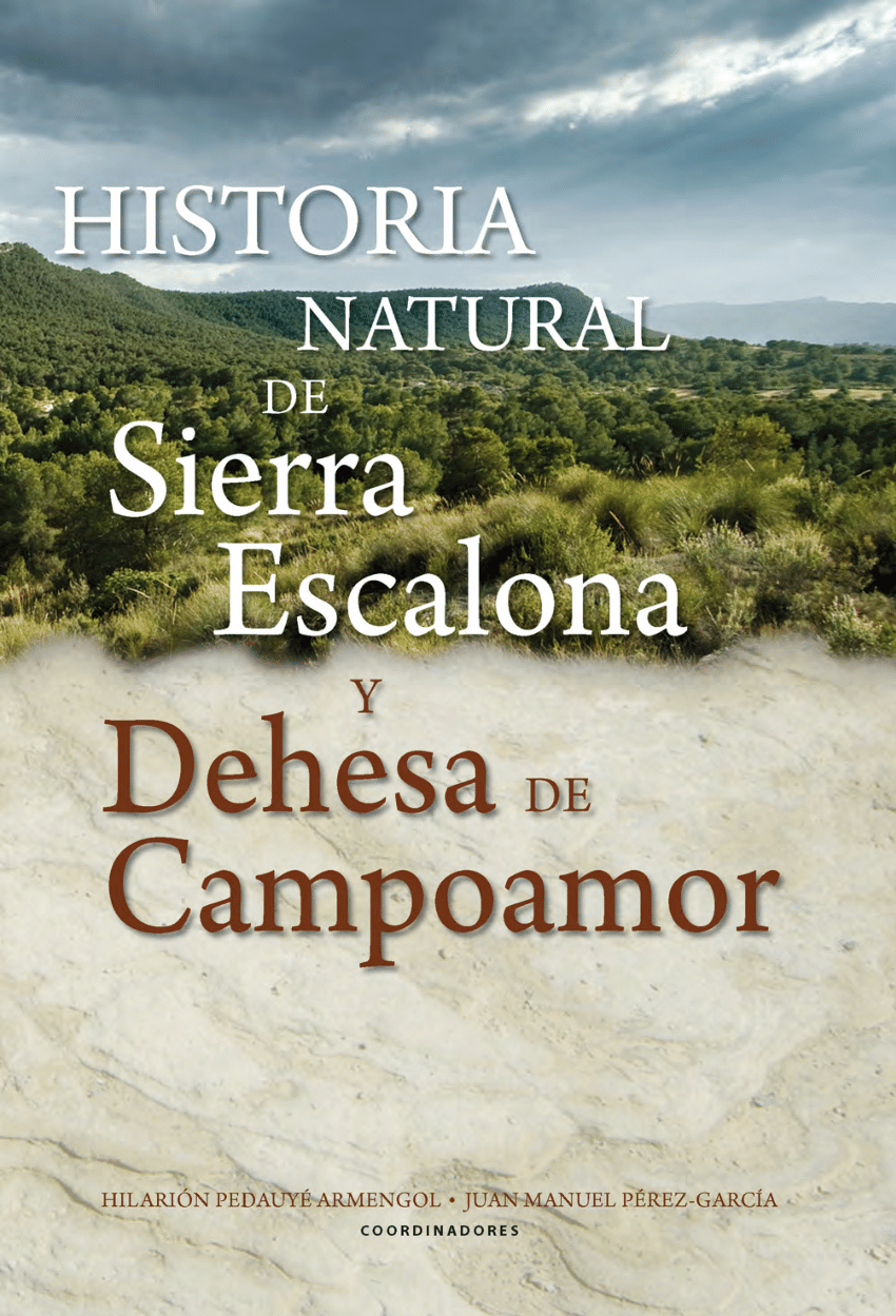 PDF) Biodiversidad etnobotánica del Campo de Salinas