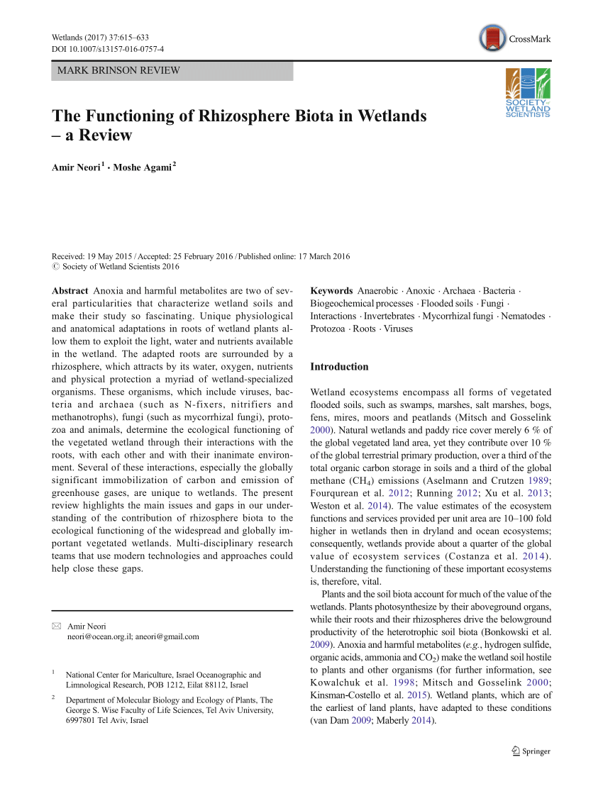 Pdf The Functioning Of Rhizosphere Biota In Wetlands A Review
