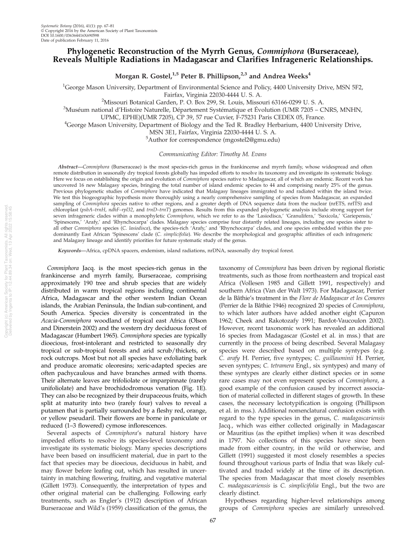 PDF) Phylogenetic Reconstruction of the Myrrh Genus, Commiphora  (Burseraceae), Reveals Multiple Radiations in Madagascar and Clarifies  Infrageneric Relationships