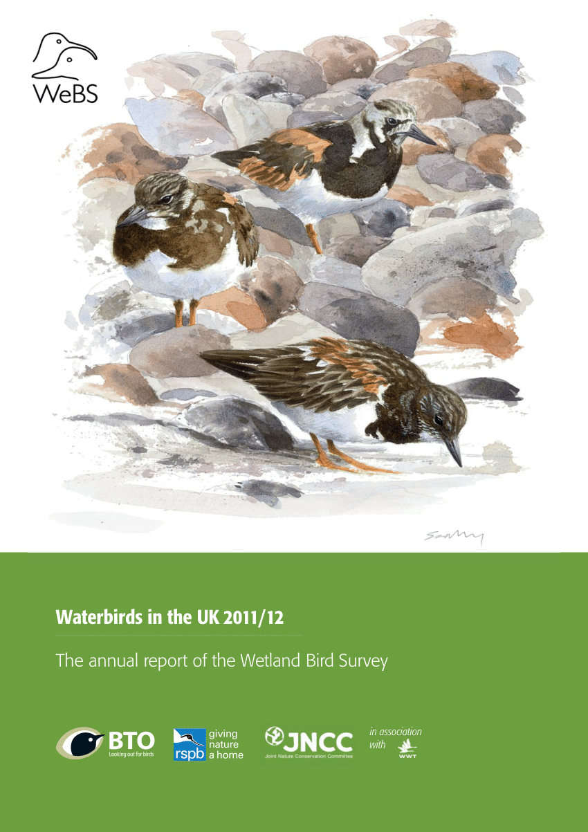 PDF) Waterbirds in the UK 2011/12: The Wetland Bird Survey