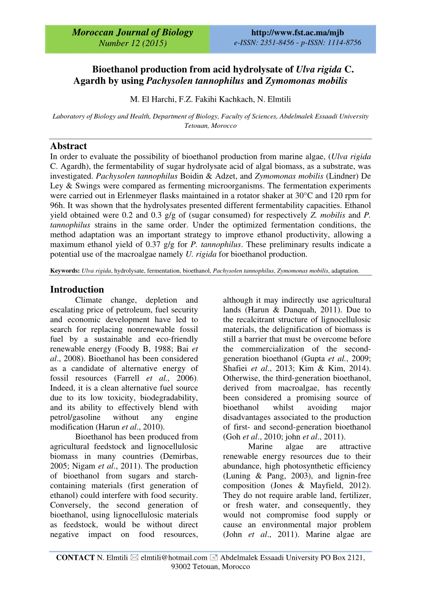 bioethanol journal pdf