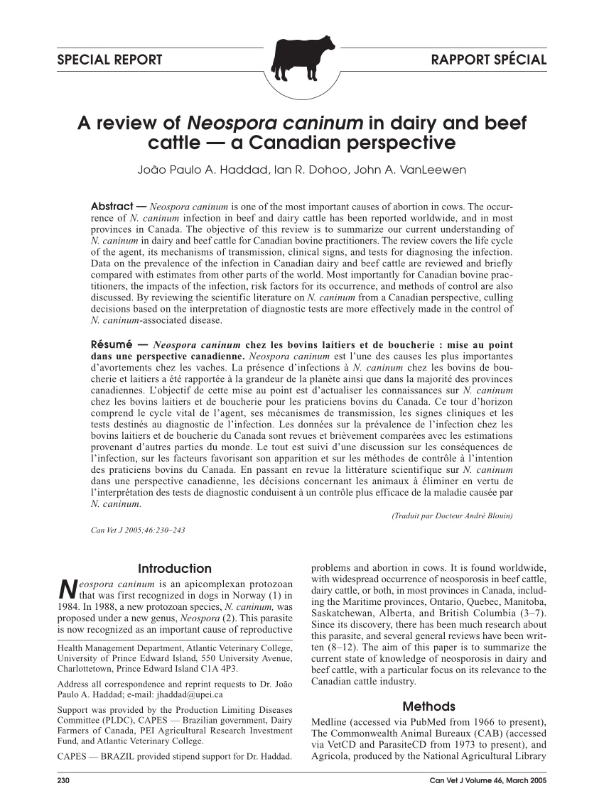 PDF) A review of Neospora caninum in dairy and beef cattle - a Canadian  perspective