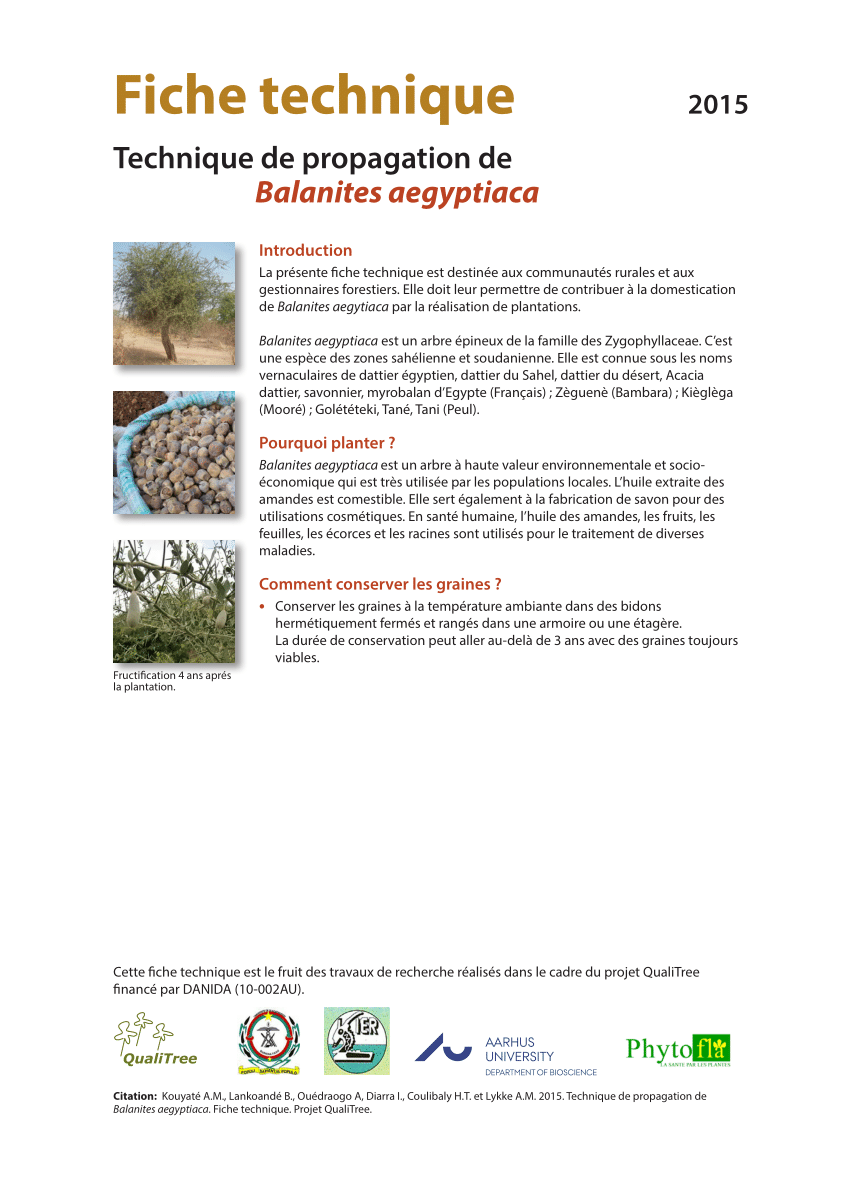 Pdf Technique De Propagation De Balanites Aegyptiaca