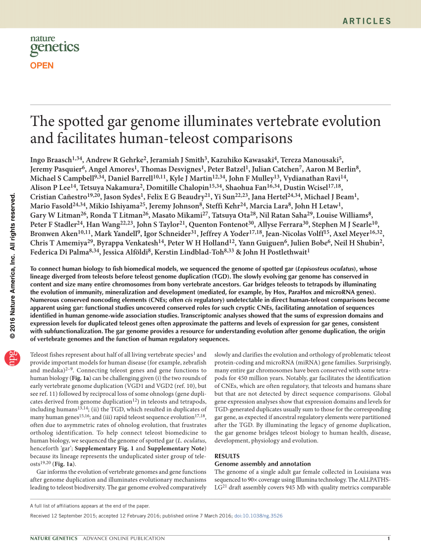 PDF) The spotted gar genome illuminates vertebrate evolution and