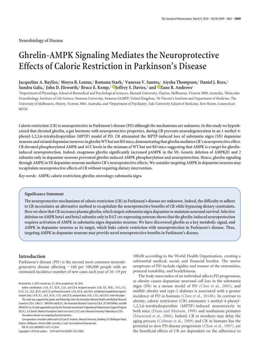 PDF) Ghrelin-AMPK Signaling Mediates the Neuroprotective Effects 