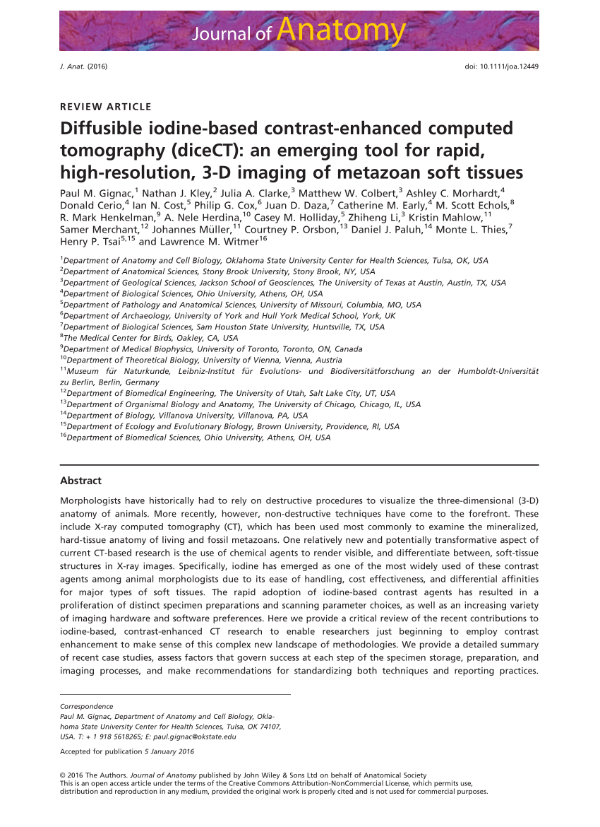PDF) Diffusible iodine-based contrast-enhanced computed tomography ...