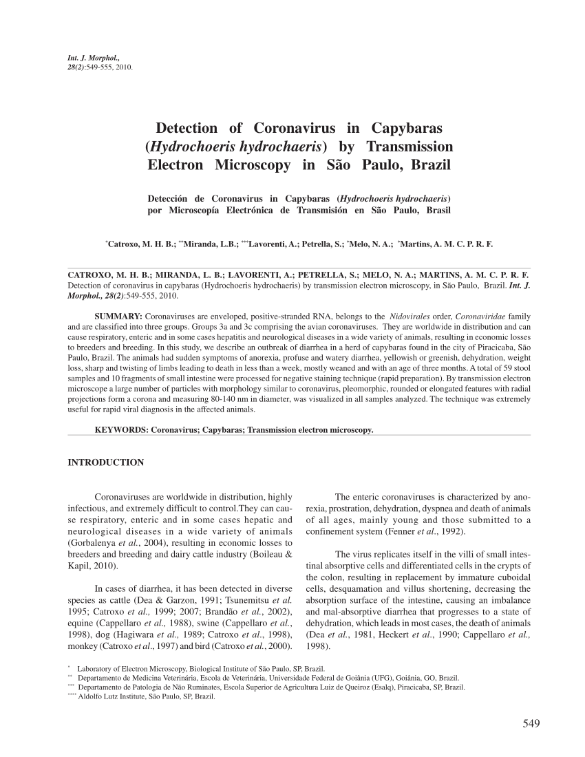 Pdf Detection Of Coronavirus In Capybaras Hydrochoeris Hydrochaeris By Transmission Electron Microscopy In Sao Paulo Brazil