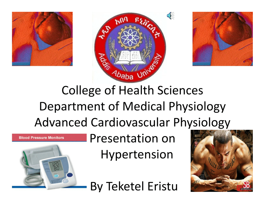 literature review of hypertension pdf
