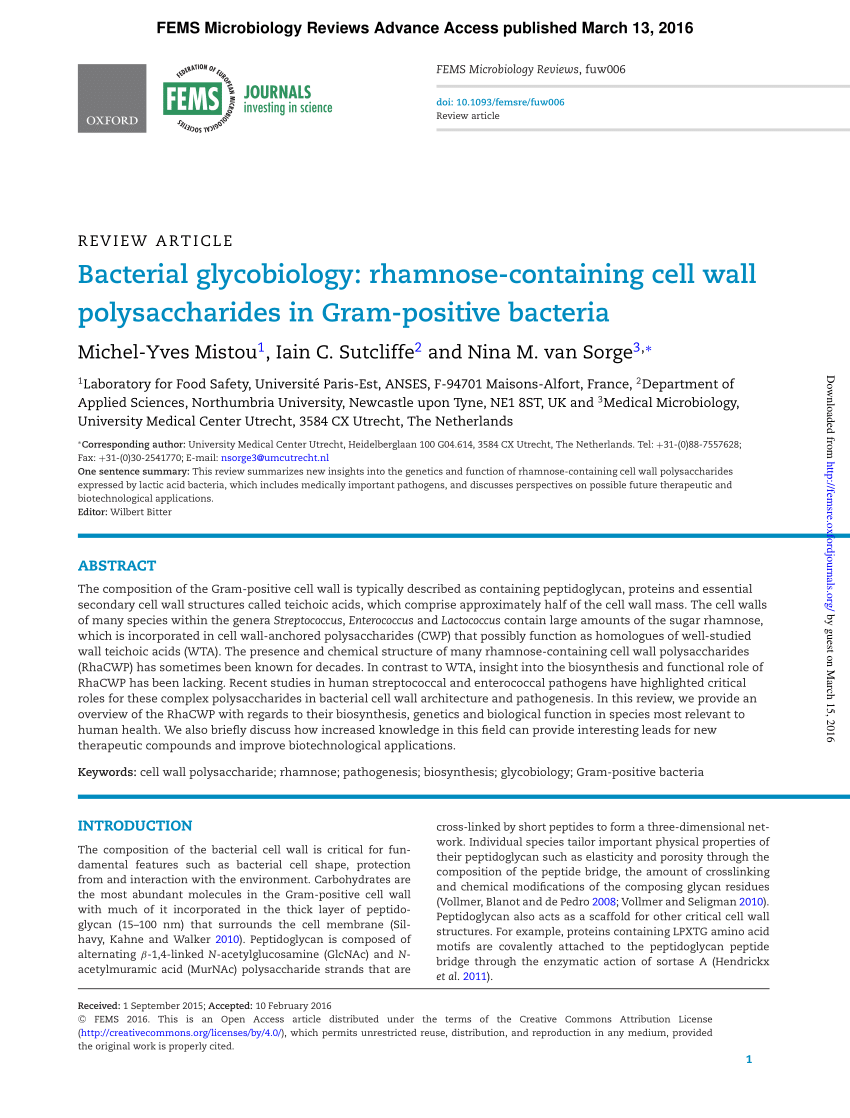 Bacterial Polysaccharides Pdf