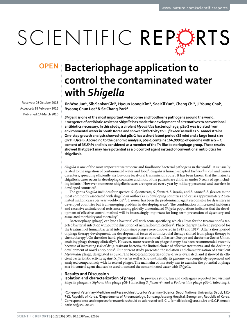 SCP 035-Contaminated Sewer, SCP Foundation