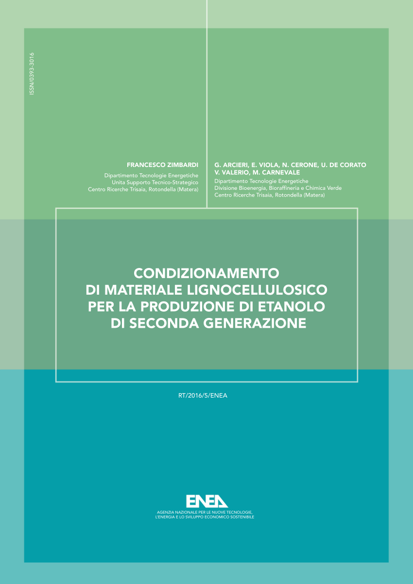 PDF) CONDITIONING LIGNOCELLULOSICS FOR THE PRODUCTION OF THE SECOND  GENERATION ETHANOL