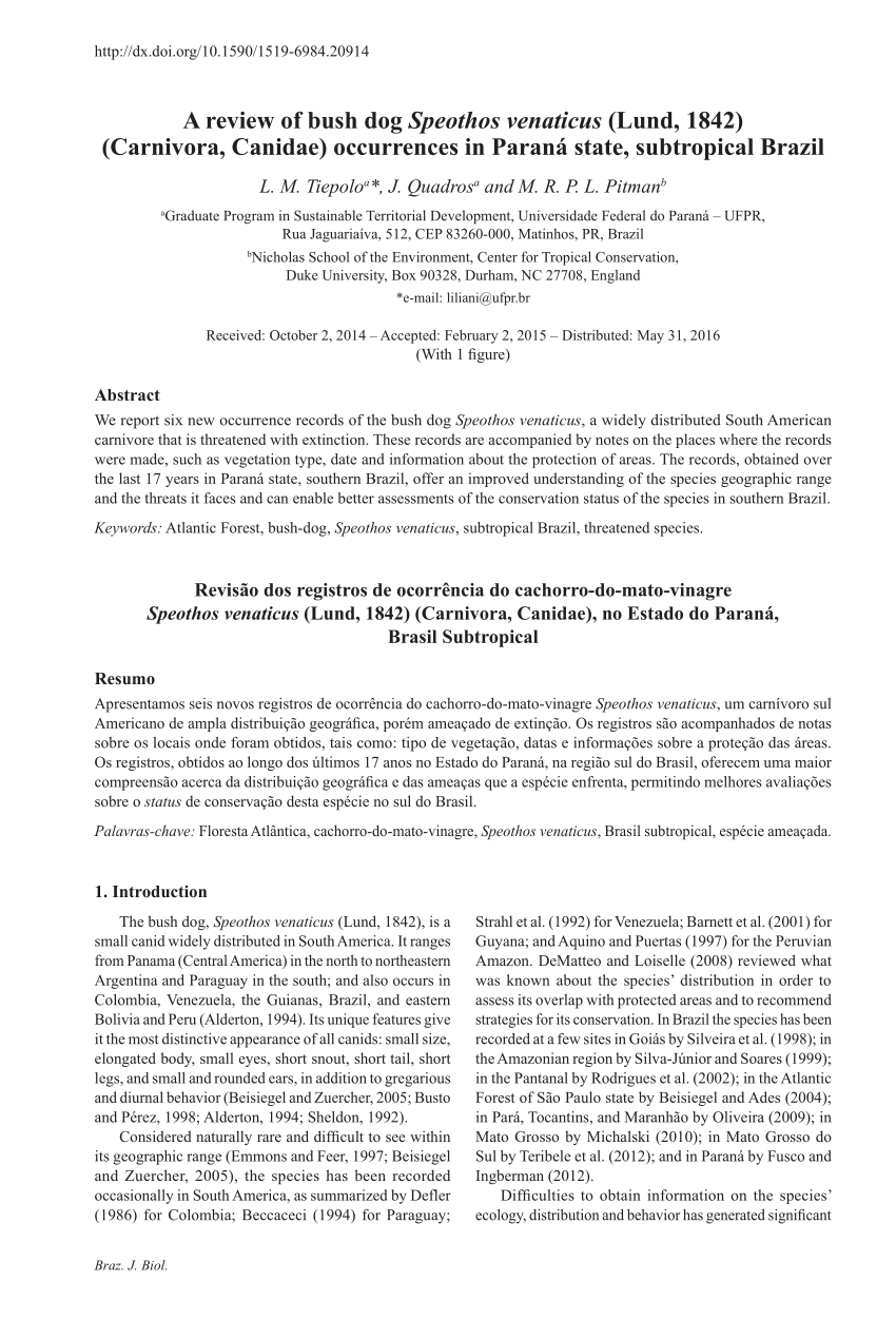 Regionally extinct species rediscovered: the bush dog Speothos venaticus in  Minas Gerais, south-eastern Brazil, Oryx