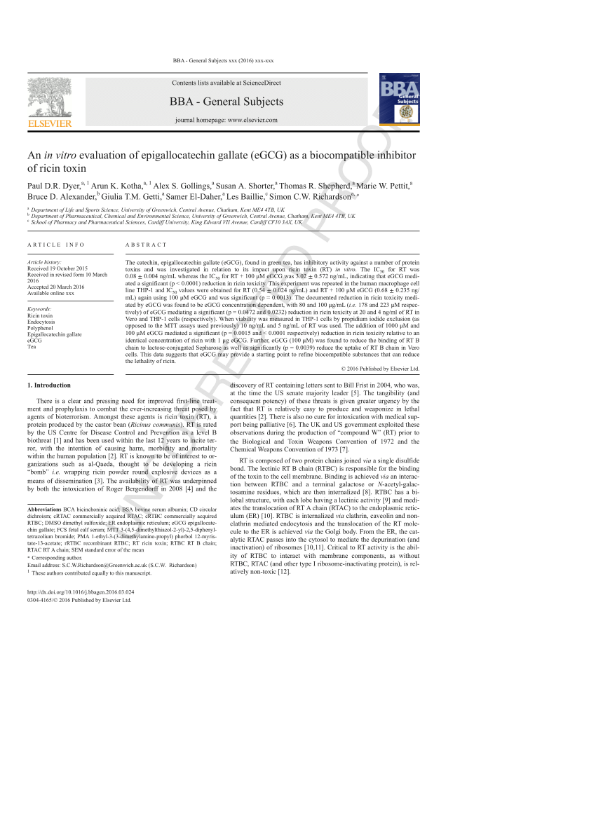 PDF An in vitro evaluation of epigallocatechin gallate eGCG as  