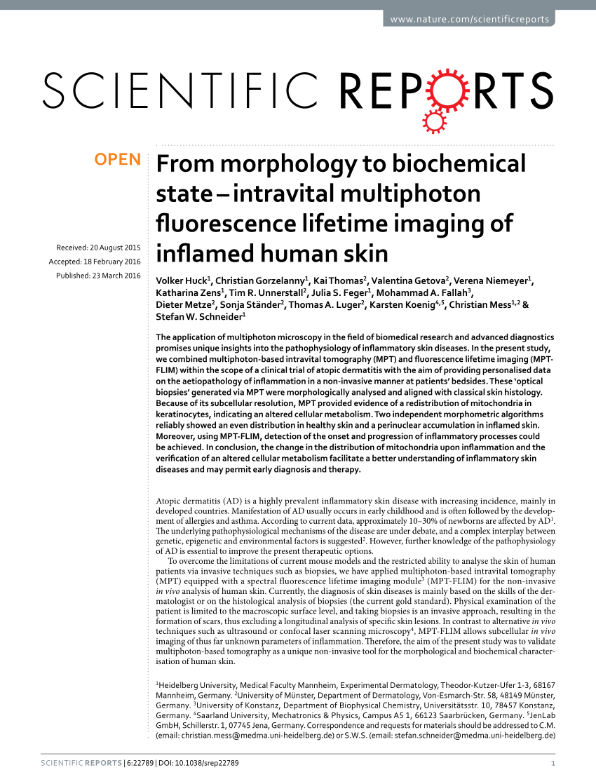 PDF) From morphology to biochemical state - Intravital multiphoton ...