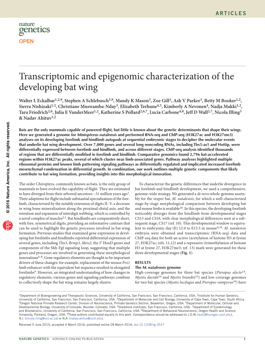 Pdf Transcriptomic And Epigenomic Characterization Of The Developing Bat Wing