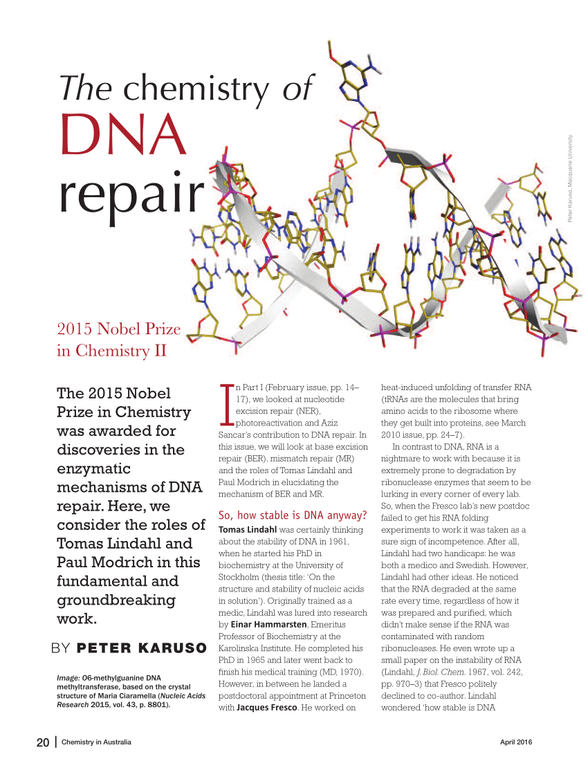 dna repair research article