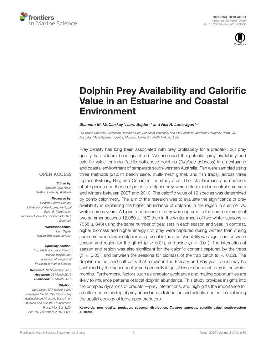 PDF) Dolphin Prey Availability and Calorific Value in an Estuarine ...