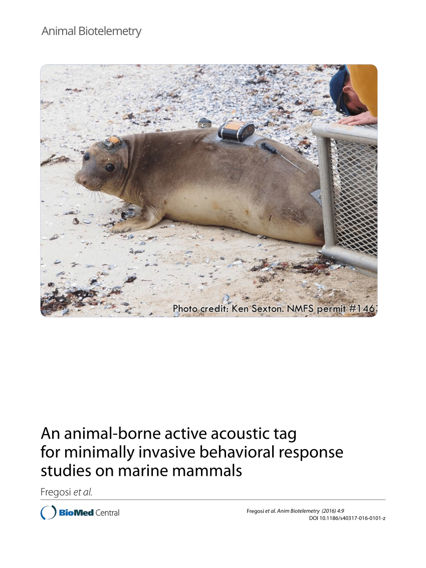 PDF Development of an animal borne "sonar tag" for quantifying prey availability Test deployments on northern elephant seals