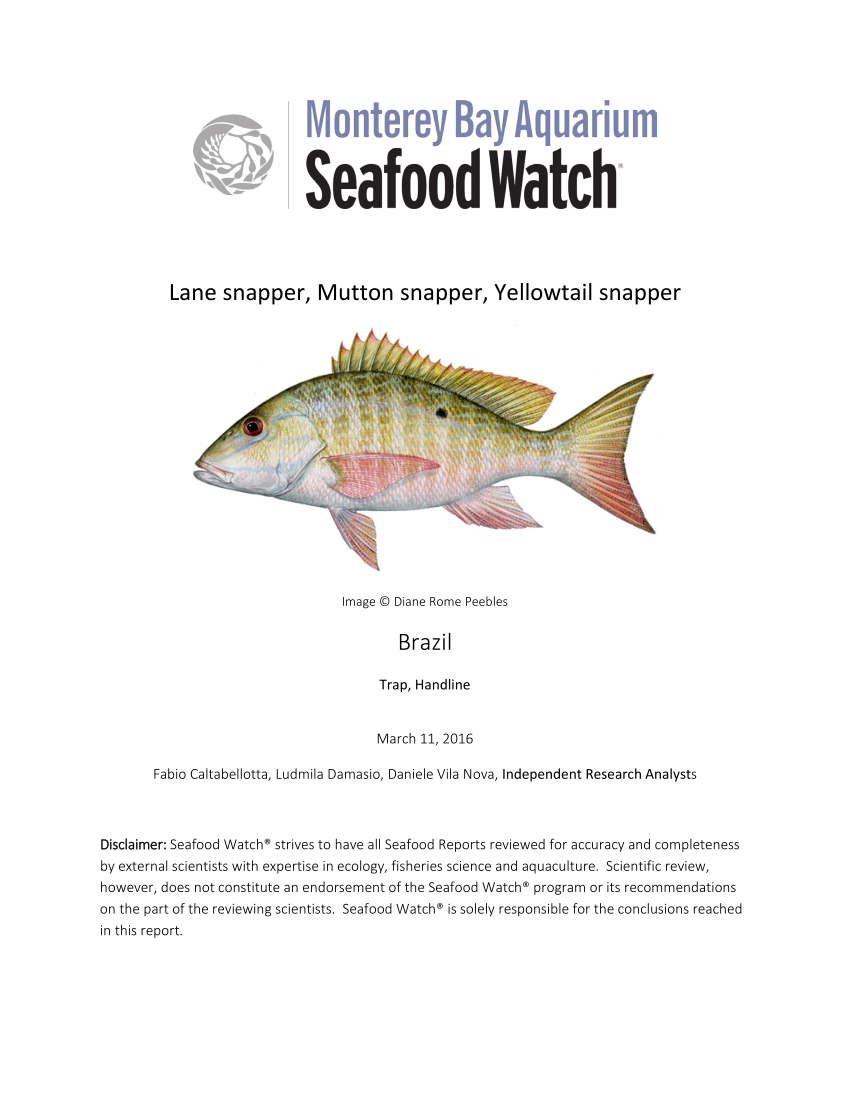 PDF) MBA SeafoodWatch Brazilian Snapper Report: Lane snapper, Mutton snapper,  Yellowtail snapper