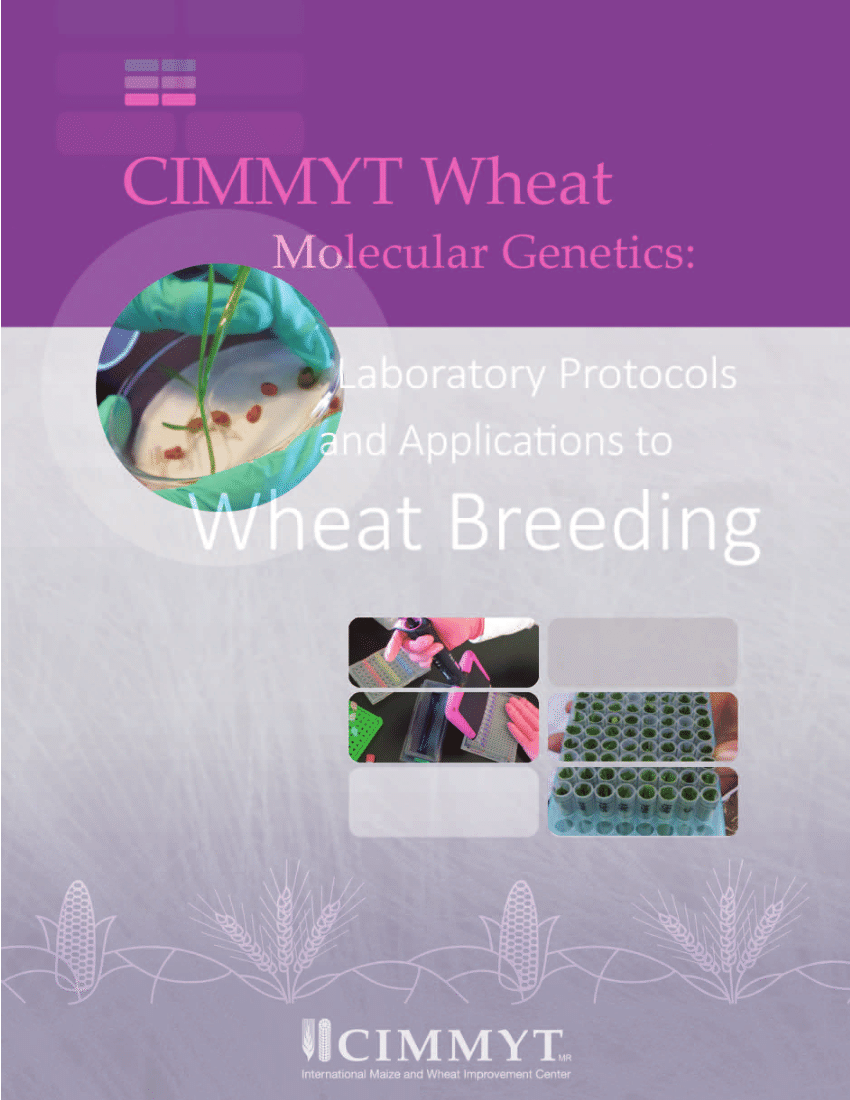 PDF) CIMMYT Wheat Molecular Genetics: Laboratory Protocols and 