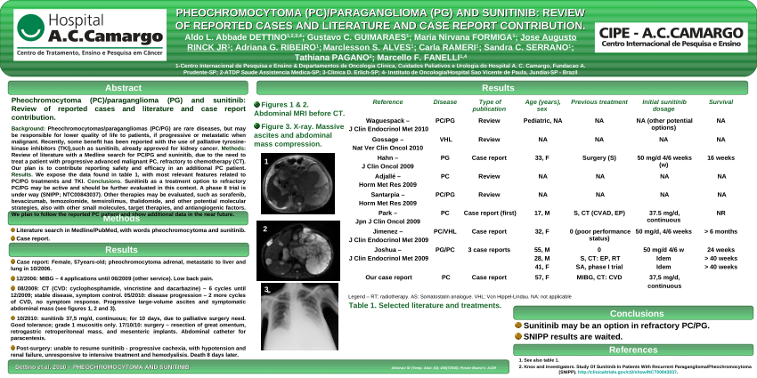 Pdf Pheochromocytoma Pcparaganglioma Pg And Sunitinib Review Of Reported Cases And 8745