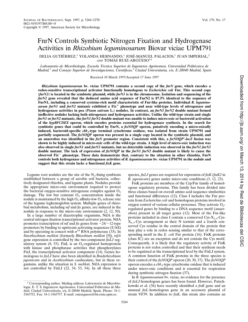 (PDF) Symbiotic Expression of Hydrogenase and Nitrogenase Activities of
